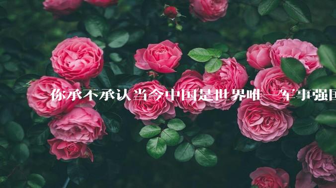 你承不承认当今中国是世界唯一军事强国？